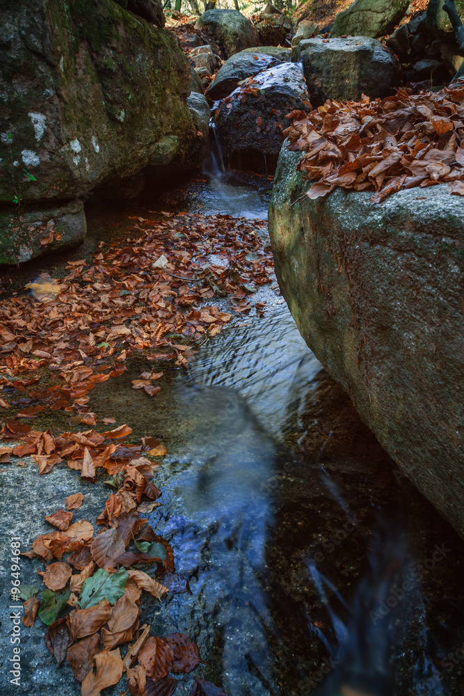 Fototapeta premium River