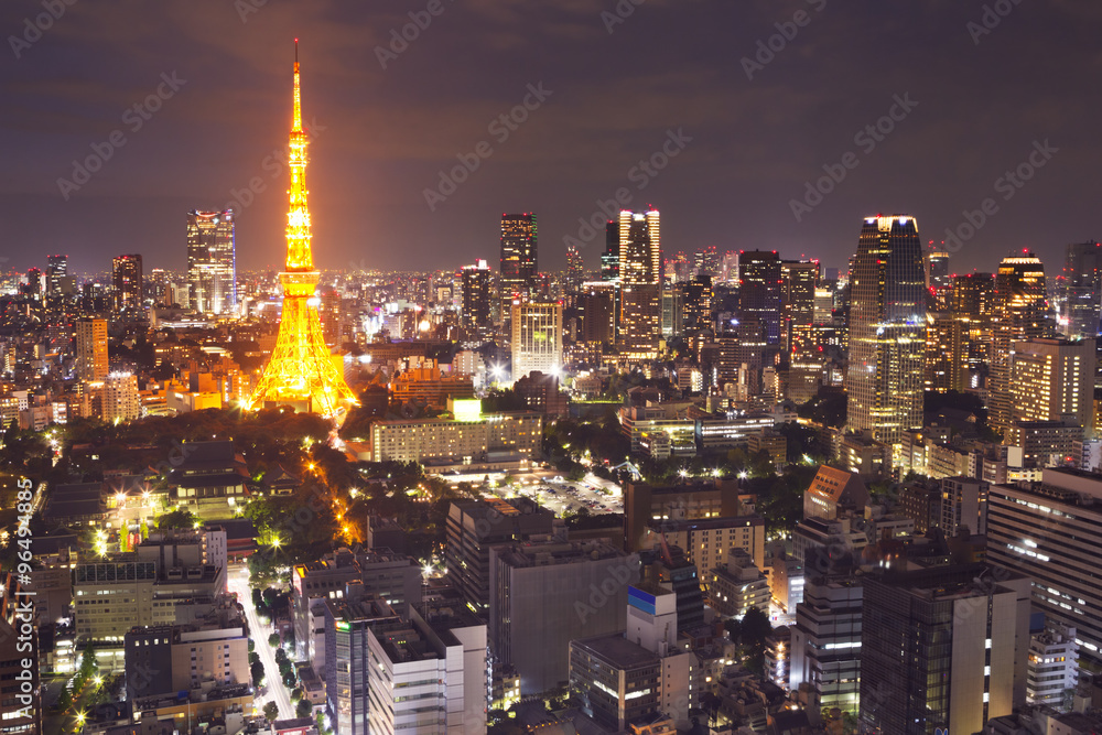 Fototapeta premium Tokyo, Japan skyline with the Tokyo Tower at night