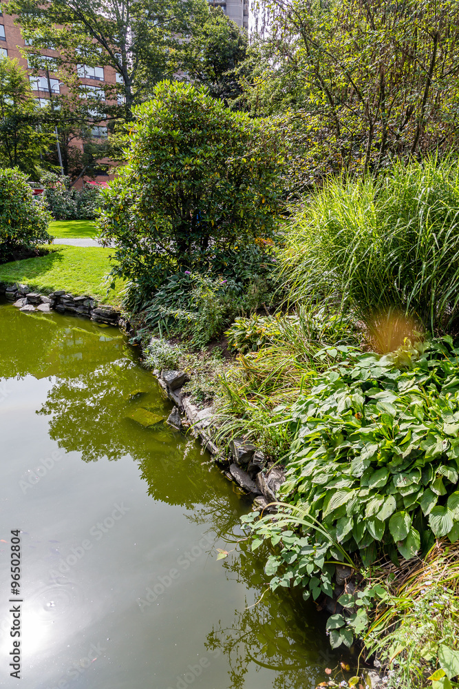 Obraz premium Lilies on Shore of Green Lake