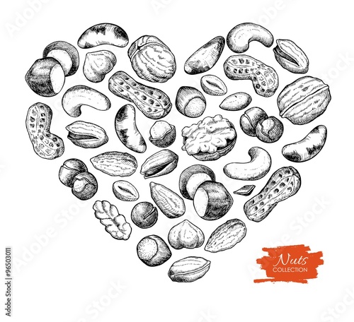 Vector hand drawn nuts illustration in heart shape