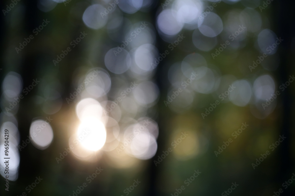 Defocused photo of summer park Defocused photo of summer park