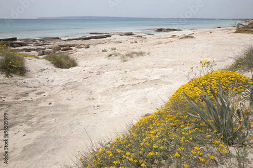 Valencians Beach; Formentera photo