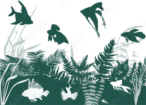 green and white fishes in algae