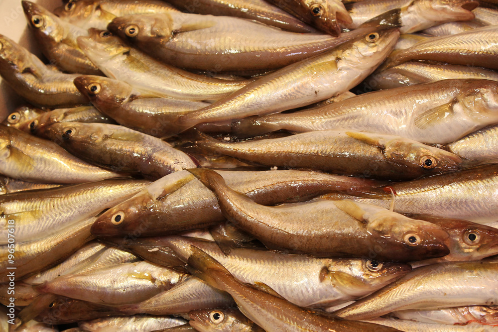 Fish for sale Fish for sale