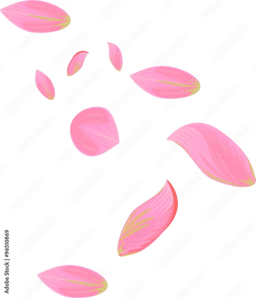 pink petals pink petals