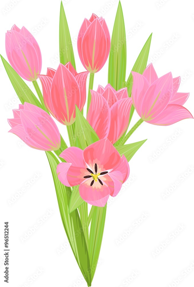 Tulip bouquet Tulip bouquet