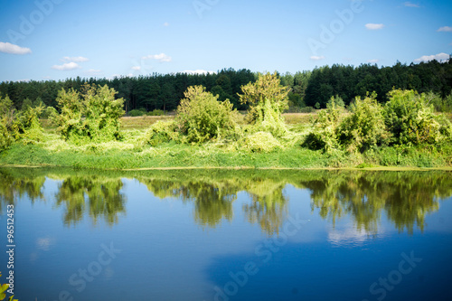 Fototapeta Naklejka Na Ścianę i Meble -  Green Forest and River