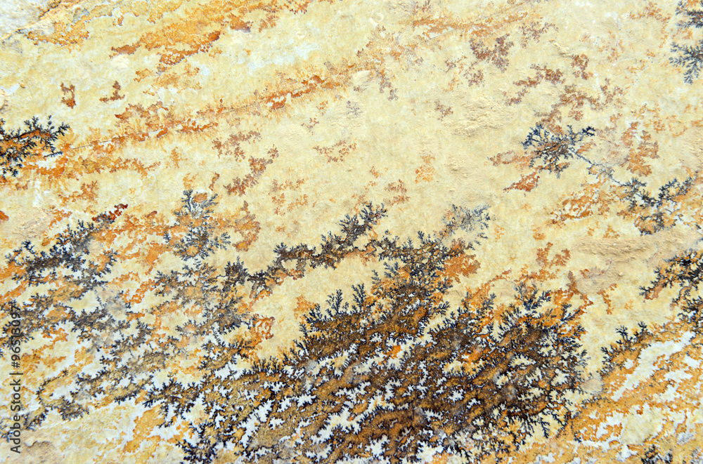 limestone with Manganese dendrites limestone with Manganese dendrites