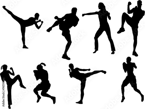 Set of tae Bo silhouette photo