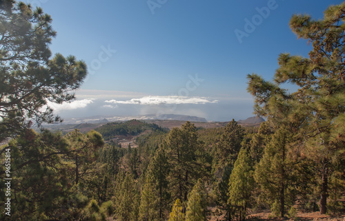 tenerife island coast landscapes