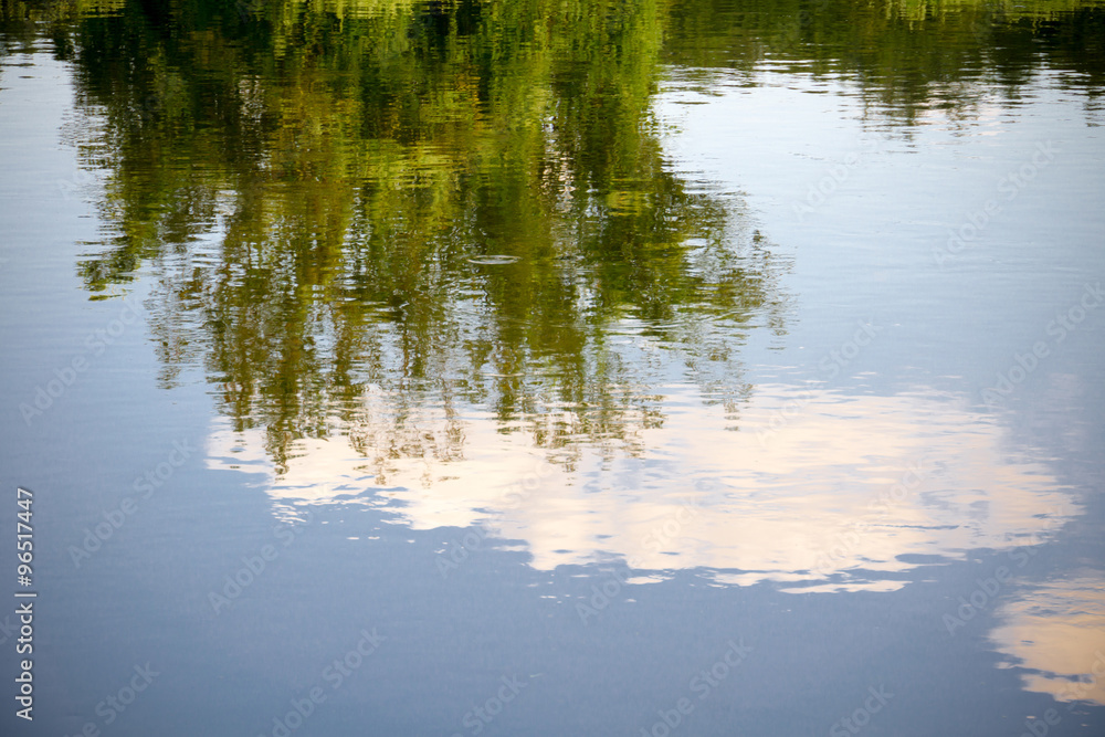 Trees Reflection in the River Trees Reflection in the River