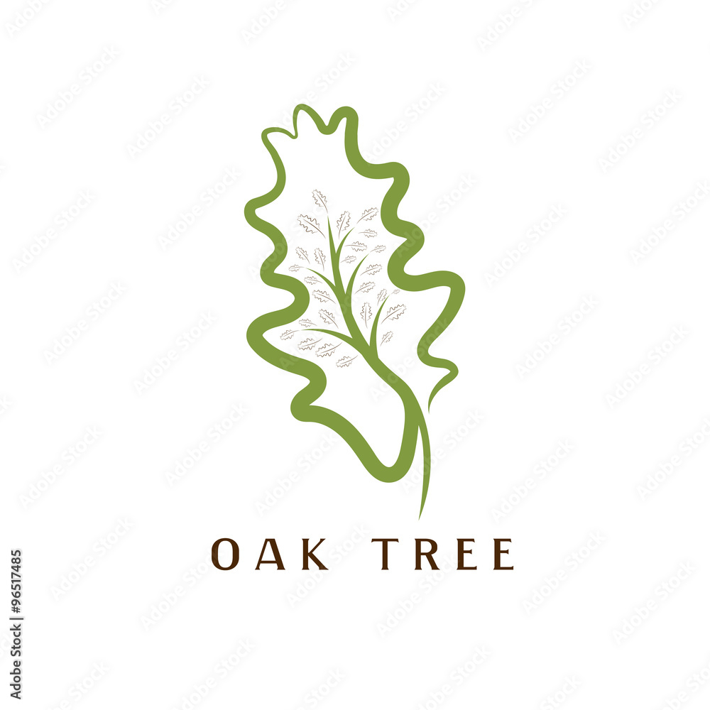 vector illustration of oak tree in the leaf vector illustration of oak tree in the leaf