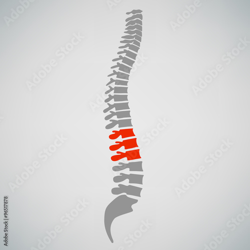 Spine Diagnostics Symbol Design