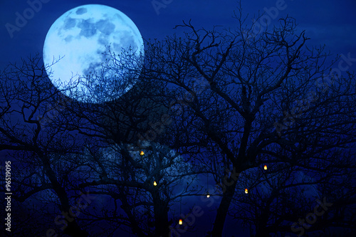 bright full moon with spooky tree branches background