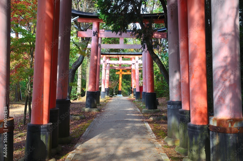 京都一周トレイル 東山コース 稲荷山 京都一周トレイル 東山コース 稲荷山