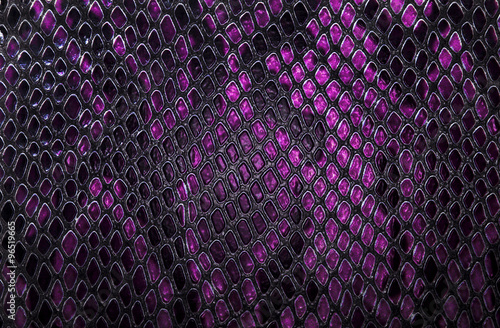 Snake skin background photo