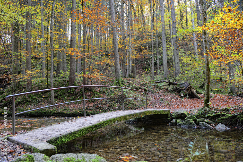 Fototapeta premium bridge at hiking path through Maisinger Schlucht in Bavaria