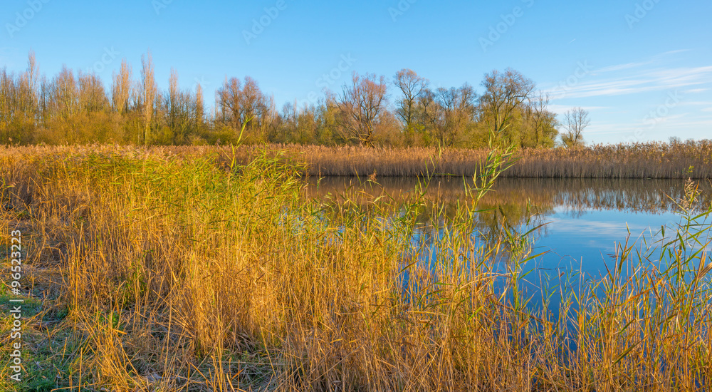 The shore of a sunny lake in autumn
The shore of a sunny lake in autumn