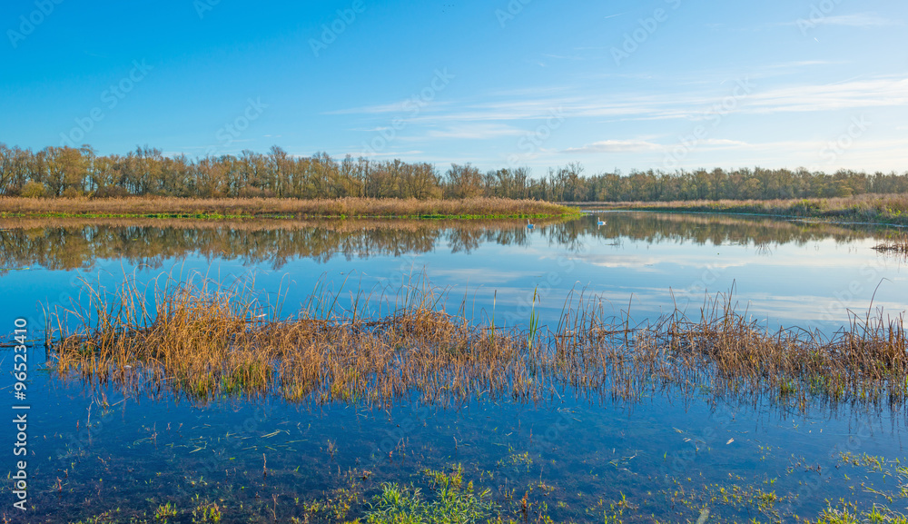 The shore of a sunny lake in autumn
The shore of a sunny lake in autumn