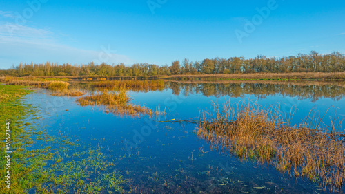 The shore of a sunny lake in autumn 
