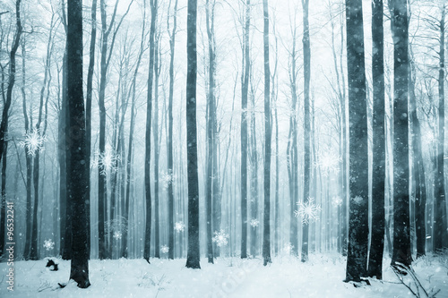 Beautiful winter snowy foggy beech forest scene with added snowflakes. Snowfall in magic foggy forest landscape. © robsonphoto