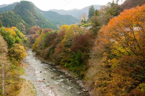 Autumn leaves and river in the mountains.