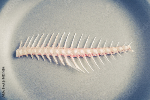 Photos fishbone on the plate