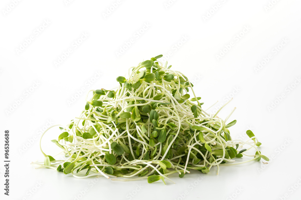 Sunflower Sprouts Sunflower Sprouts