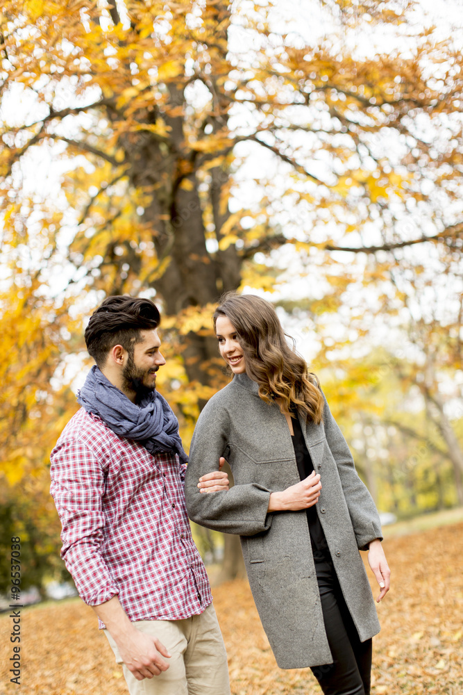 Fototapeta premium Young couple in the autumn park