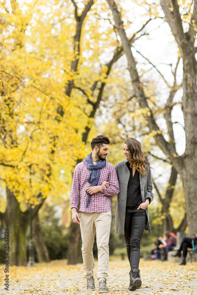 Young couple in the autumn park Young couple in the autumn park