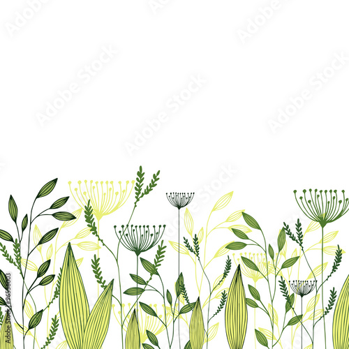 Vector grass field. Illustration with herbs, botanical art