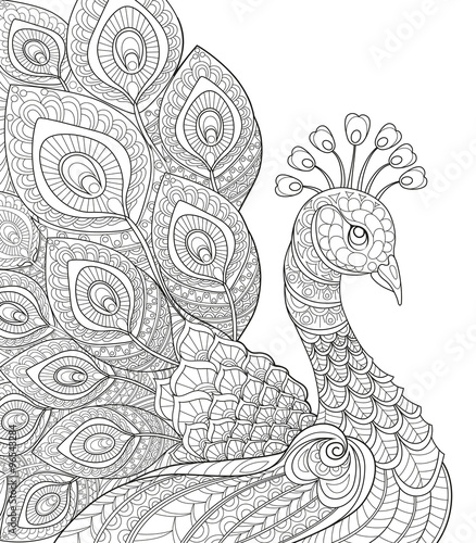 Peacock. Adult antistress coloring page. Black and white hand drawn doodle for coloring book