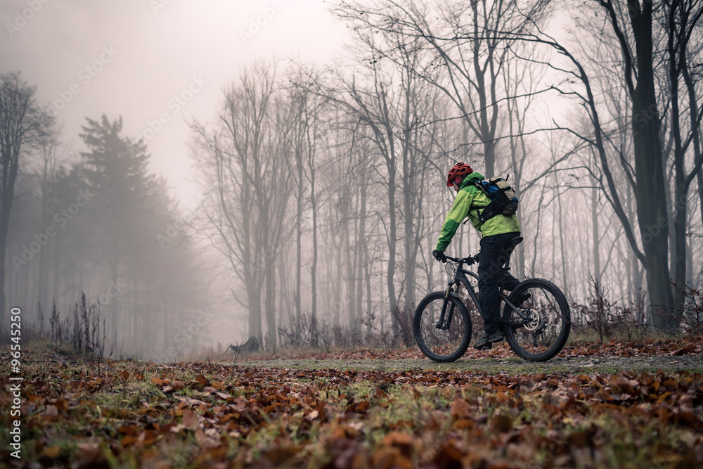 Naklejka premium Mountain biker on cycle trail in woods