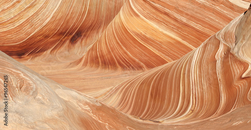 The Wave detail at Paria canyon, Vermillion Cliffs, Arizona