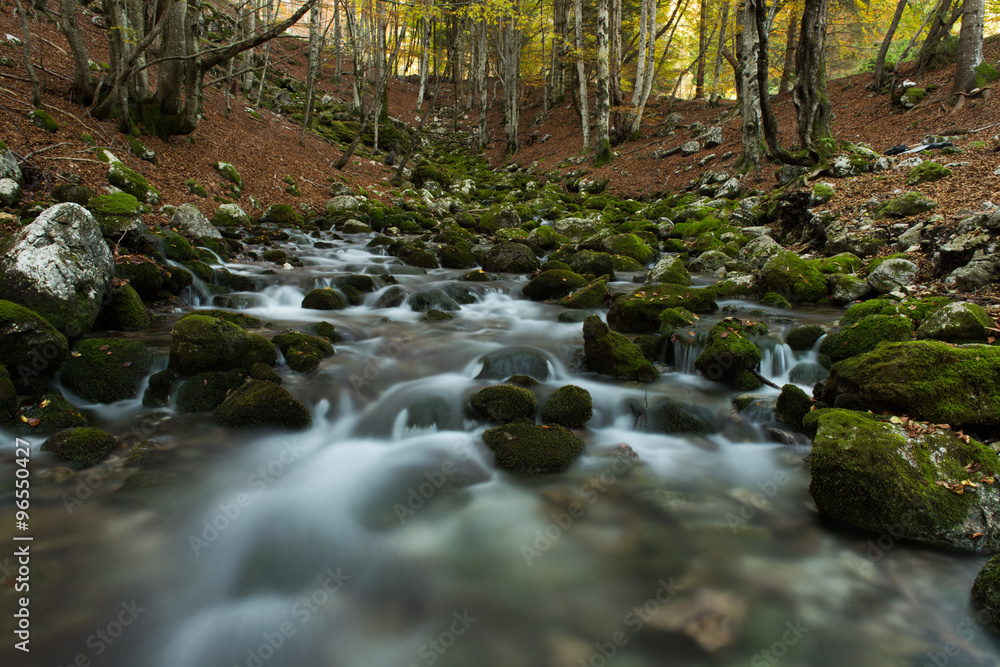 Sorgenti dell'Arzino Sorgenti dell'Arzino