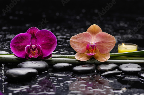 Set of two orchid and candle leaf with therapy stones 