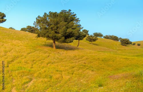 Iraqi landscape in spring season