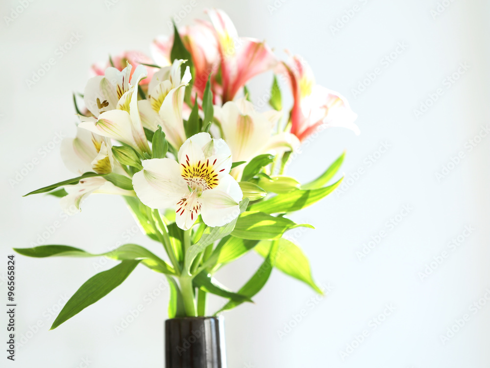 Obraz premium Beautiful spring flowers on soft window background close-up