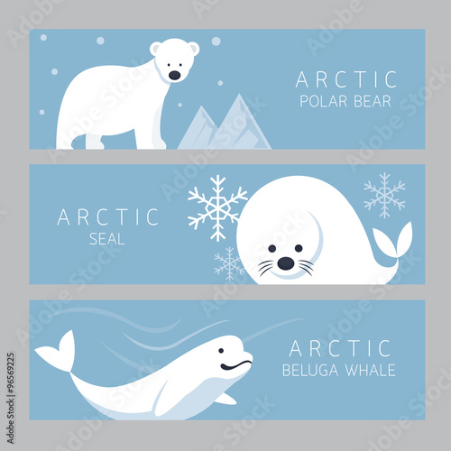 Arctic Banner, Polar Bear, Seal, Beluga Whale, Winter, Nature Travel and Wildlife