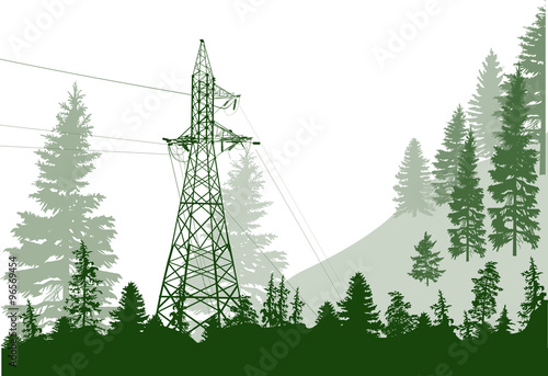 electric power pylon in green fir forest
