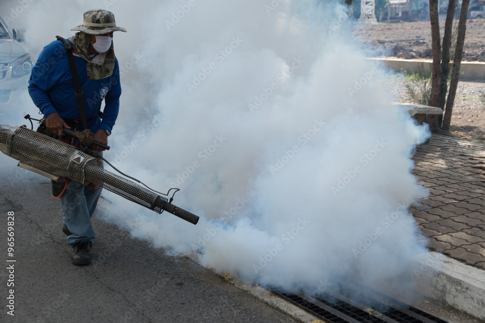 Obraz premium Fogging mosquito