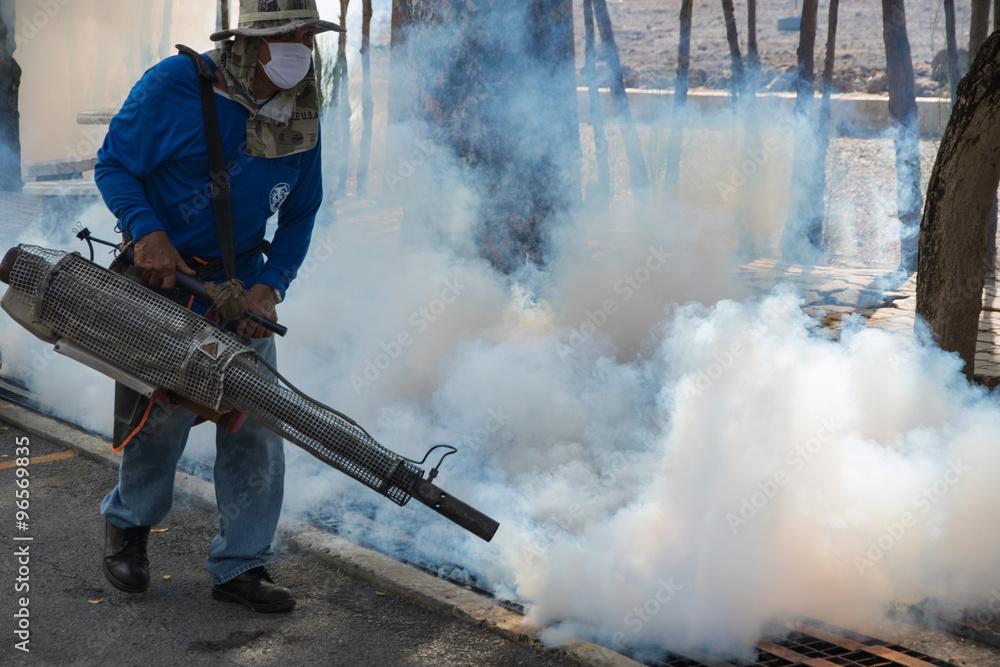 Obraz premium Fogging mosquito