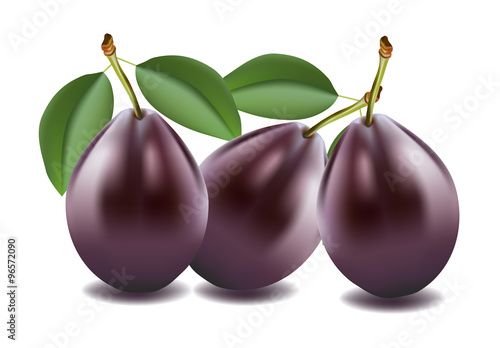 Three plums on white background