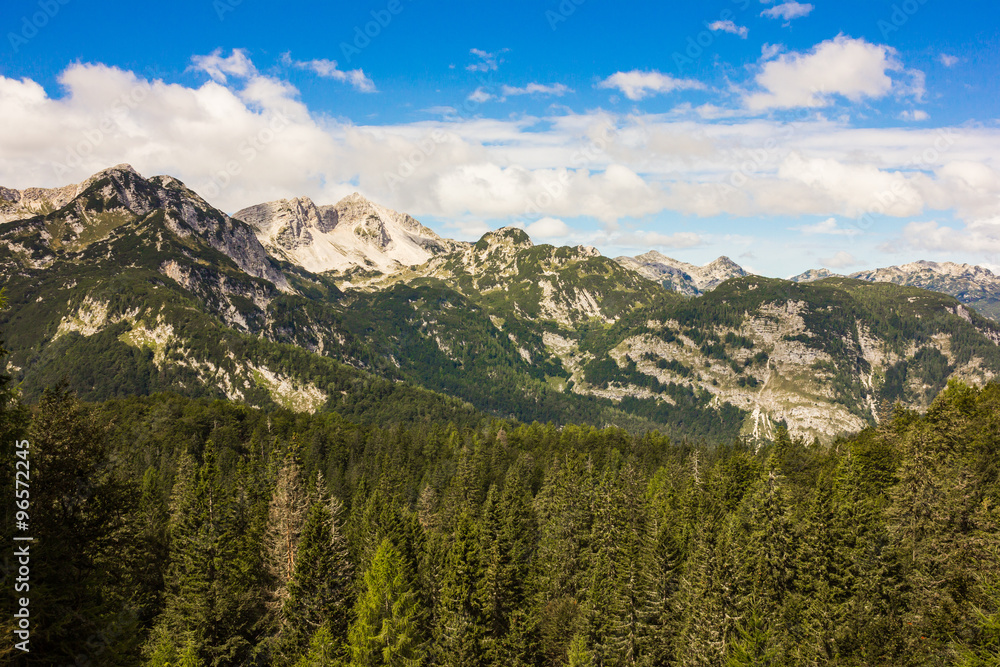 The Julian Alps in Slovenia, near the Bohinj Lake