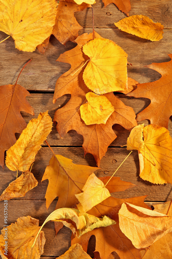 Yellow and brown autumn leaves on wooden table, close-up Yellow and brown autumn leaves on wooden table, close-up