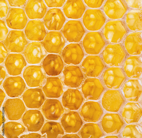 Honeycomb. High-quality picture. © volff