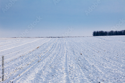 Snow covered fields in winter © meteo021