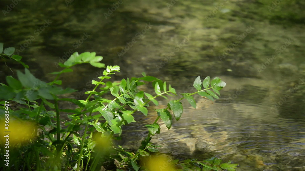 Close up of flowing stream water. Nature scene, day, spring, Europe. Camera locked down. 1080p full HD video footage. Ojcow. Close up of flowing stream water. Nature scene, day, spring, Europe. Camera locked down. 1080p full HD video footage. Ojcow.