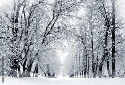 Winter scenery, snowstorm in park #96588835