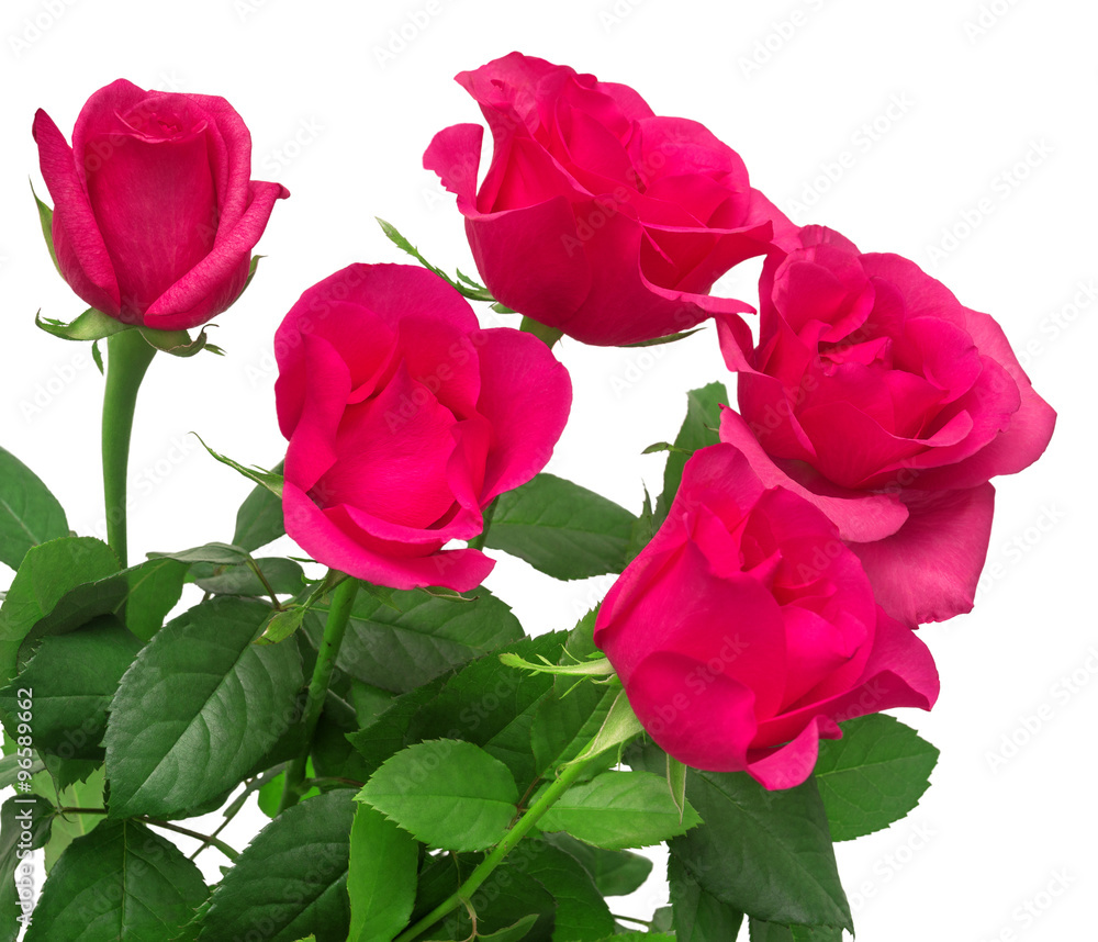 Bouquet of pink roses Bouquet of pink roses